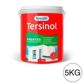 Impermeabilizante para Frentes Exterior Tersinol Blanco 5L