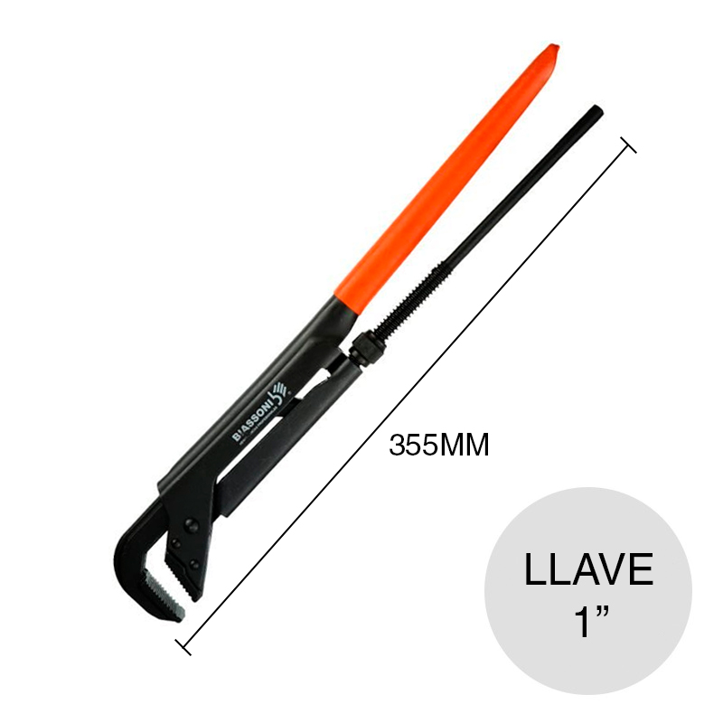 BIASSONI-991591 p
