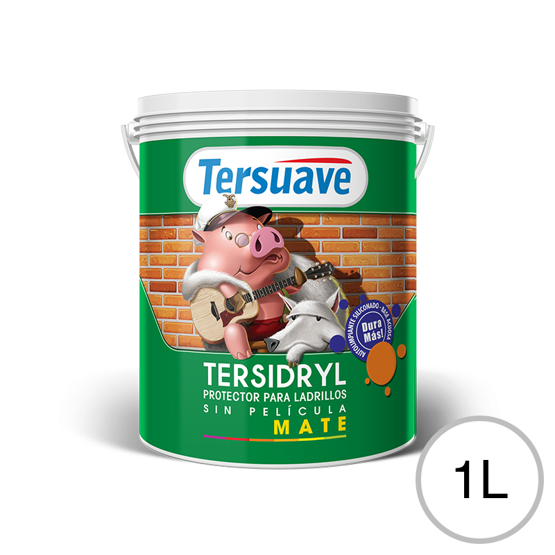 Impermeabilizante ladrillos y piedras Tersidryl al agua sin pelicula transparente mate balde x 1l