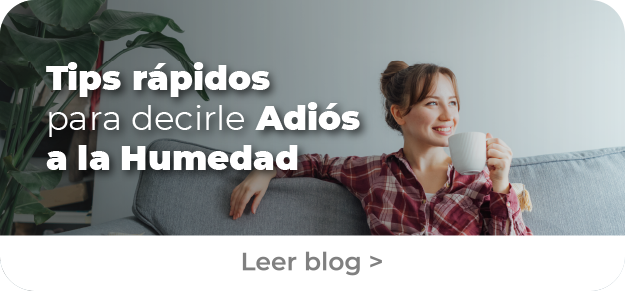 Tips rápidos para decirle Adiós a la Humedad