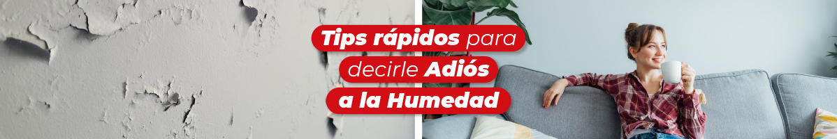 Tips rápidos para decirle Adiós a la Humedad