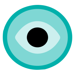 vision
